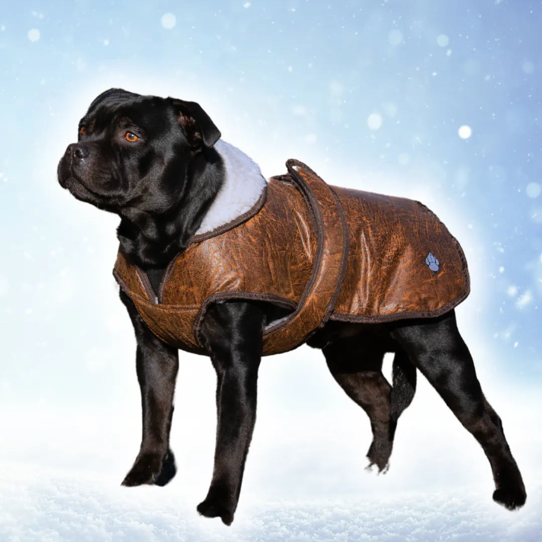 Jacke Fly