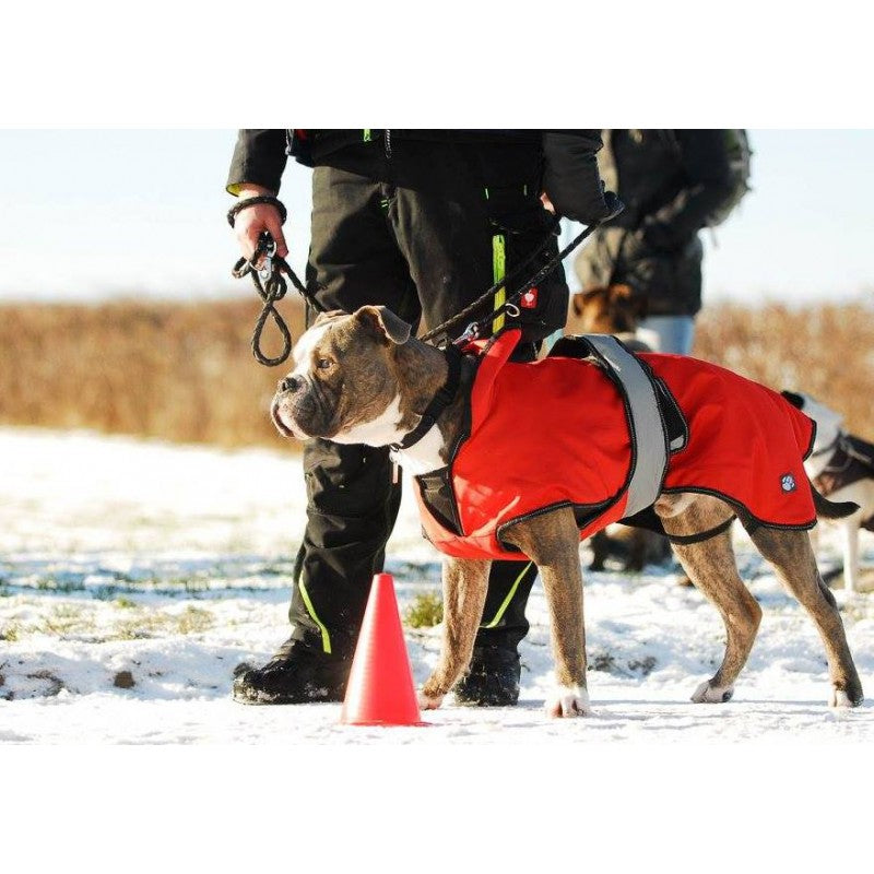 Praktischer 2-in-1 Hundemantel - Regenjacke & Wintermantel - orange