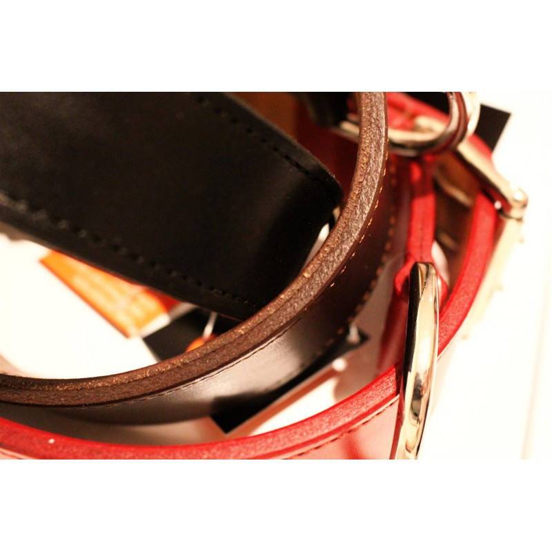 Lederhalsband Premium Red (5 cm breit)